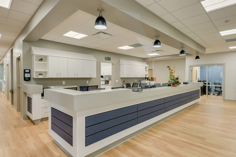 wide view of nurse's station at Evans Medical Group done in with slate blue accenting and light wooden flooring 